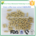 Food grade Green coffee bean extract capsules Chlorogenic acids 50% capsules